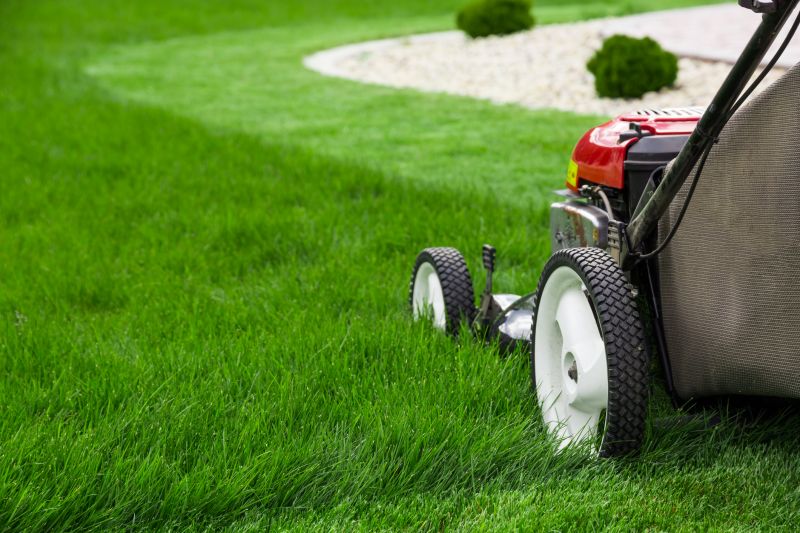 Commercial Grass Cutting detail