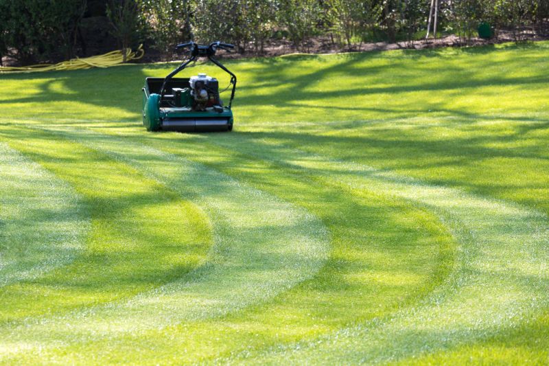 Commercial Grass Cutting detail