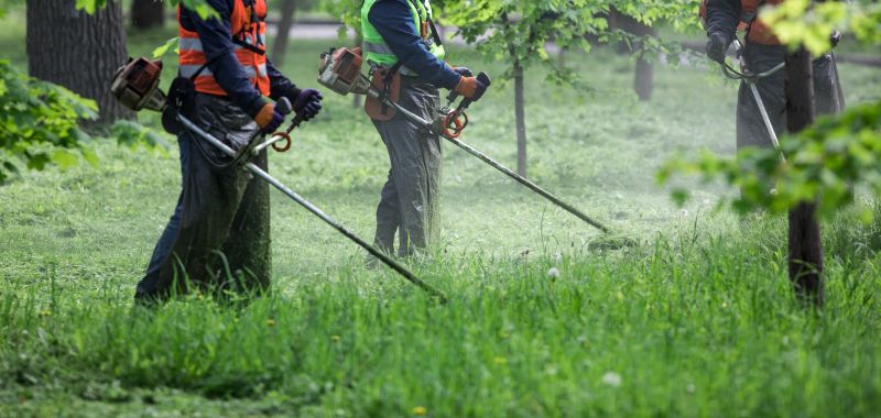 Commercial Grass Cutting detail