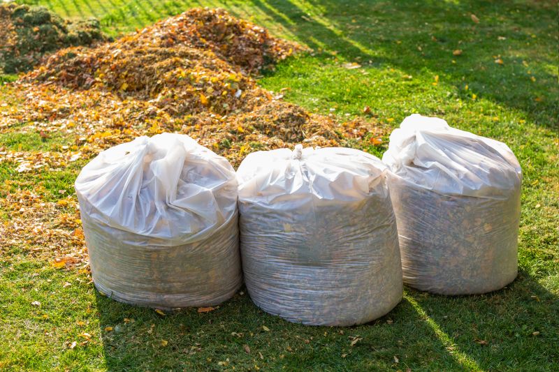 Spring Yard Cleanup in Ventura County, CA
